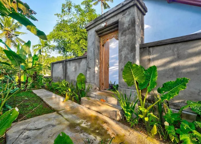 Dana With Rice Field View Apartment Ubud