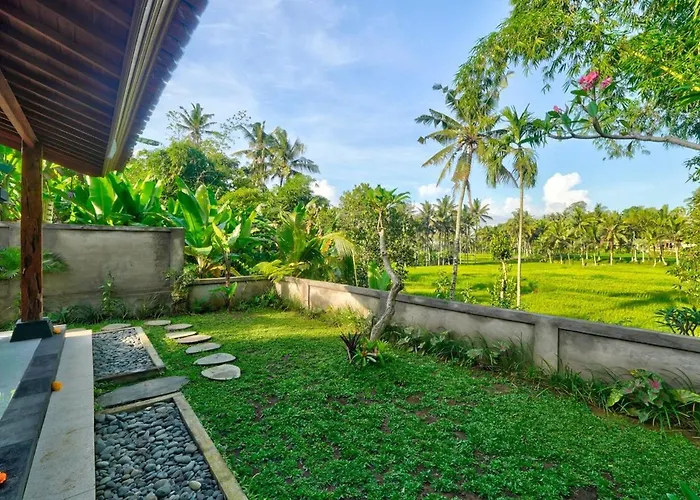 Dana With Rice Field View Apartment